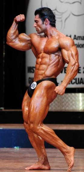 Курс Бодибилдинг Классик — Набор мышечной массы/Пампинг на 1 месяц купить в Воронеже - Масса Тела